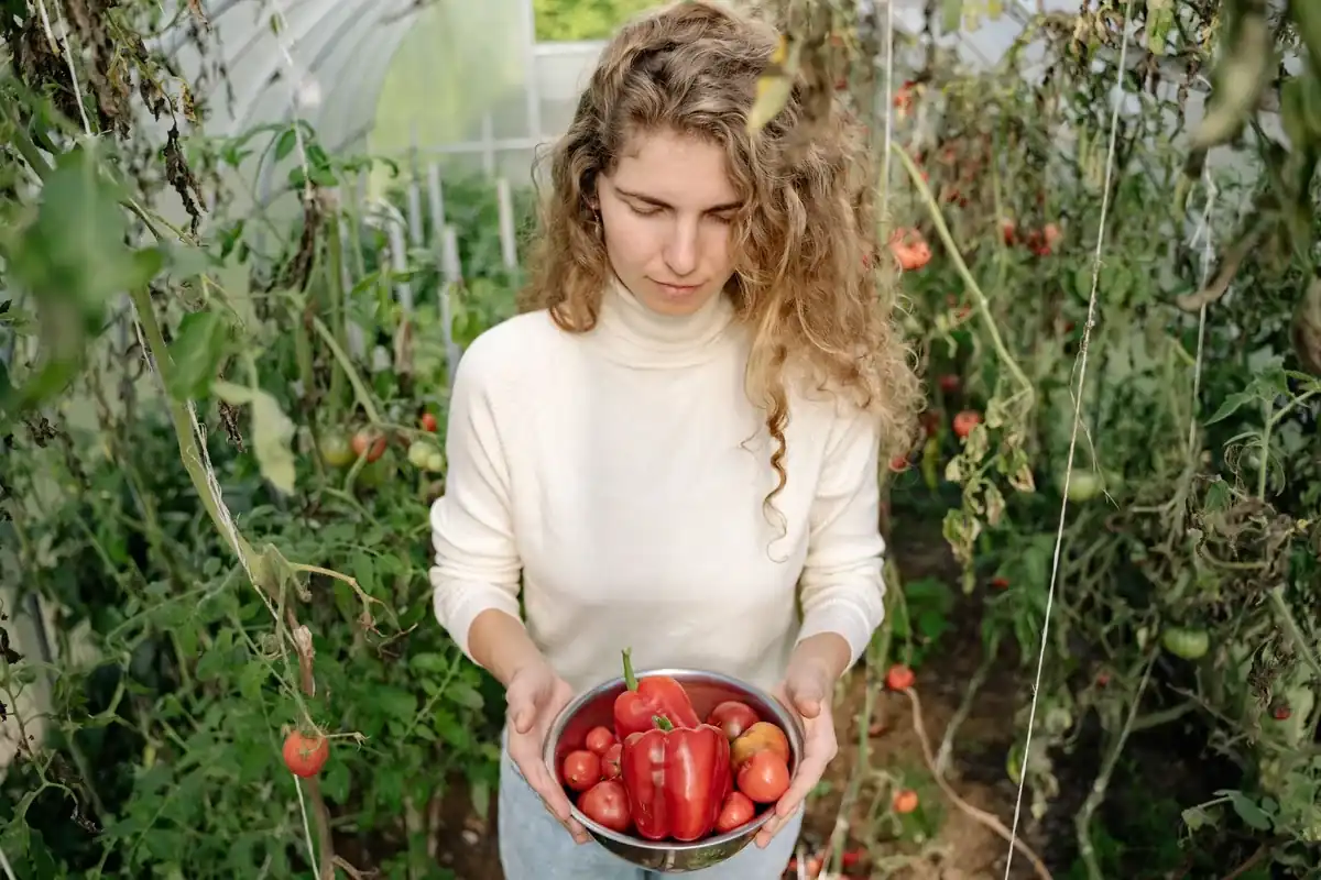 Vrouw in een kas draagt een schaal met net geplukte tomaten en een paprika